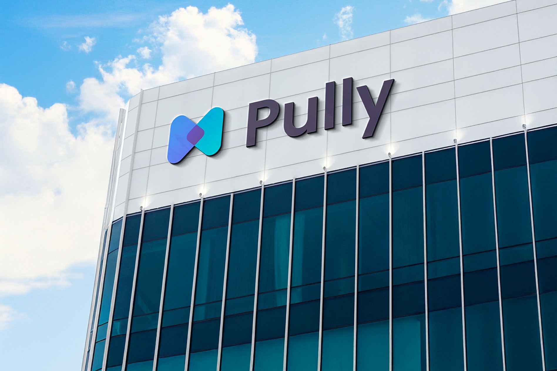 pully